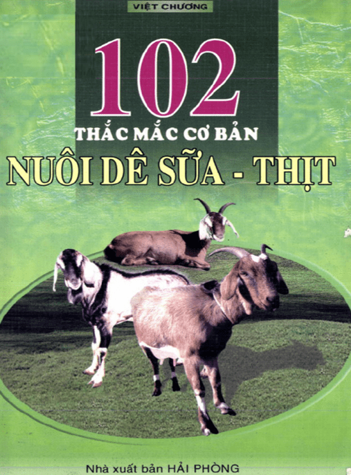 102 Thắc Mắc Cơ Bản Nuôi Dê Sữa Thịt