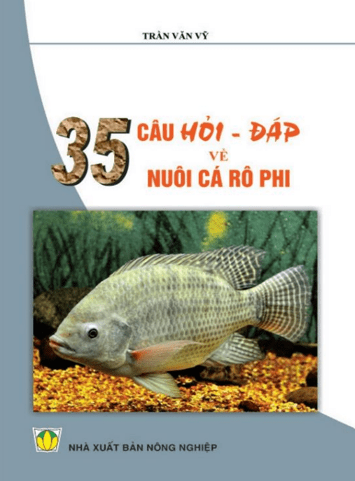35 Câu Hỏi Đáp Về Nuôi Cá Rô Phi