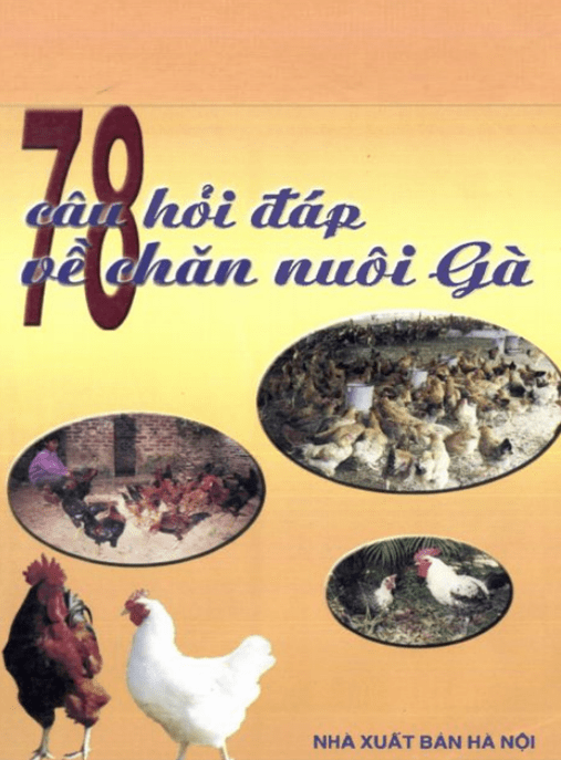 78 Câu Hỏi Đáp Về Chăn Nuôi Gà