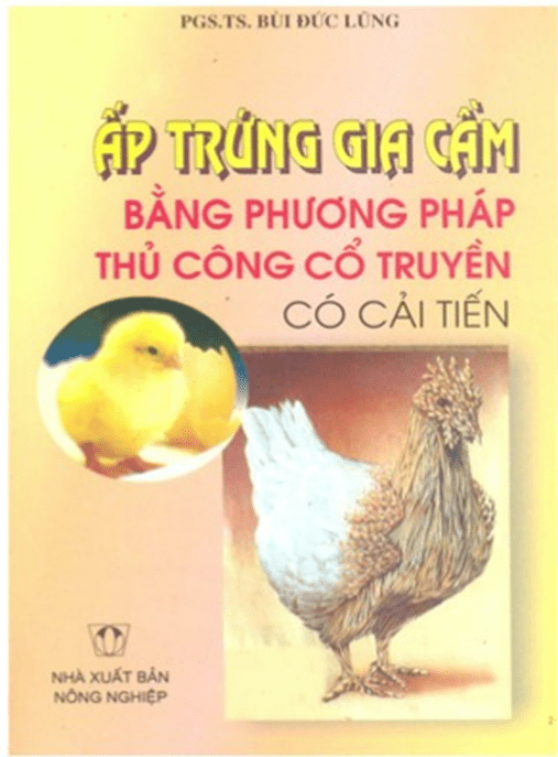 Ấp Trứng Gia Cầm Bằng Phương Pháp Thủ Công Cổ Truyền Có Cải Tiến