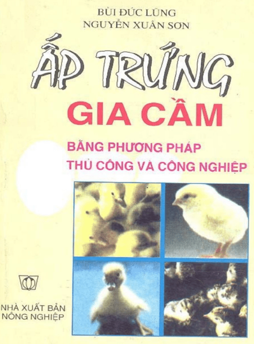 Ấp Trứng Gia Cầm Bằng Phương Pháp Thủ Công Và Công Nghiệp