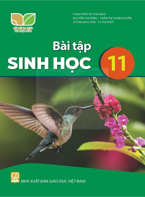 Bài Tập Sinh Học Lớp 11 (Kết Nối Tri Thức Với Cuộc Sống)