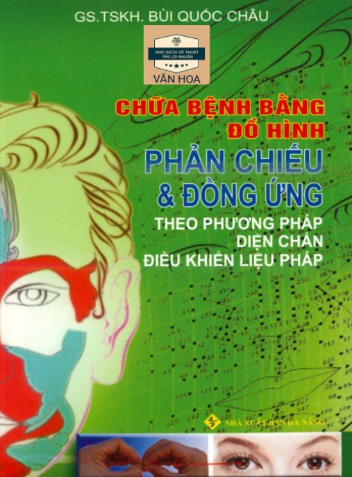 Chữa Bệnh Bằng Đồ Hình Phản Chiếu Và Đồng Ứng Theo Phương Pháp Diện Chẩn Điều Khiển Liệu Pháp