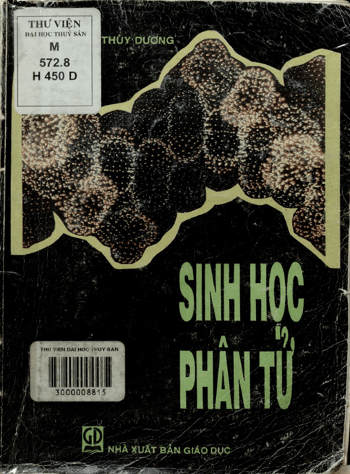 Sinh Học Phân Tử