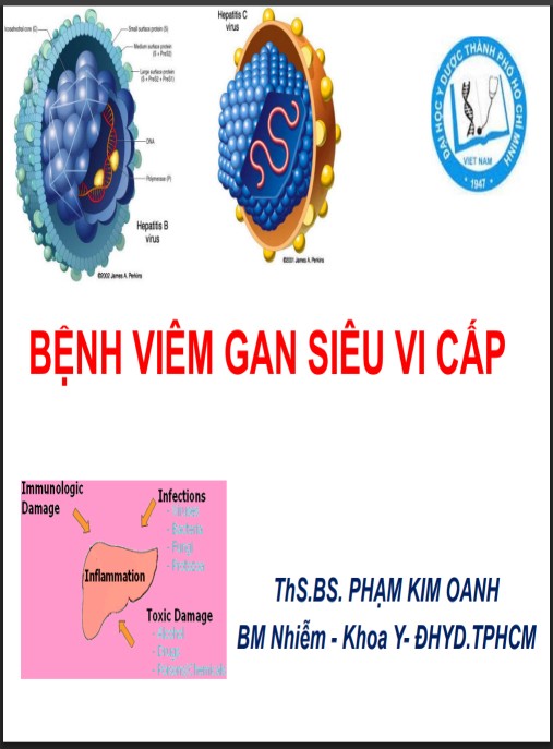 Bài giảng Bệnh viêm gan siêu vi cấp