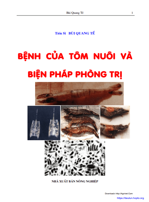 Bệnh Của Tôm Nuôi Và Biện Pháp Phòng Trị