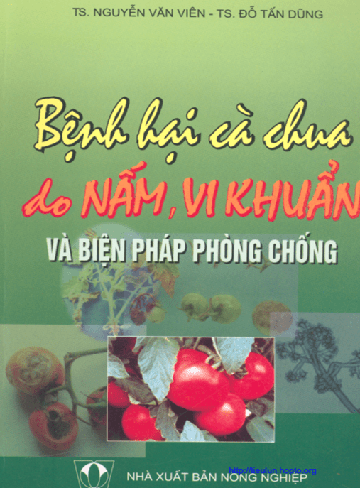 Bệnh Hại Cà Chua Do Nấm Vi Khuẩn Và Biện Pháp Phòng Chống