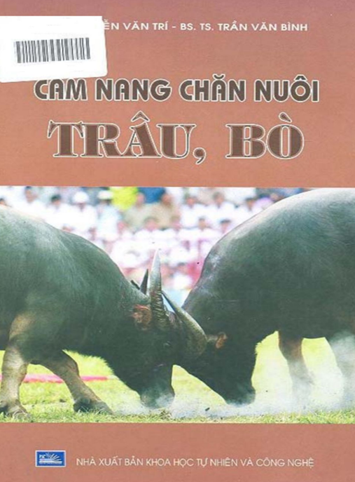 Cẩm Nang Chăn Nuôi Trâu Bò