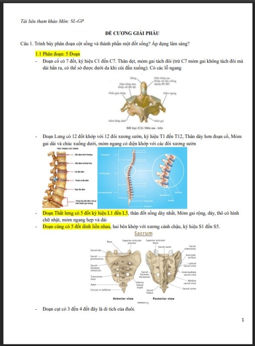 Đề cương ôn tập môn Giải phẫu