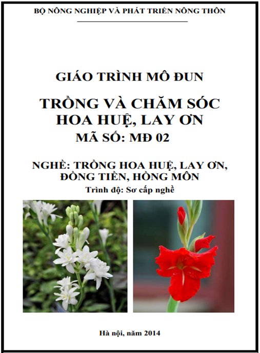 Giáo Trình Mô Đun Trồng Và Chăm Sóc Hoa Huệ, Lay Ơn
