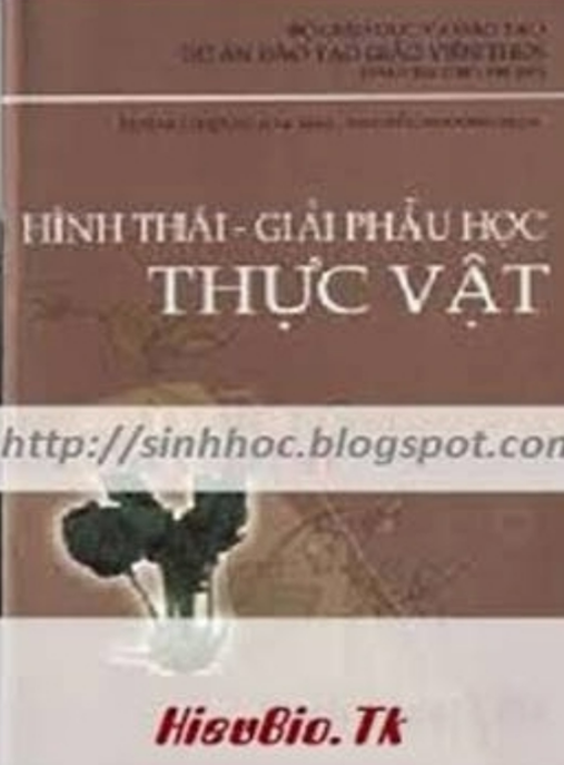 Hình Thái Giải Phẫu Học Thực Vật