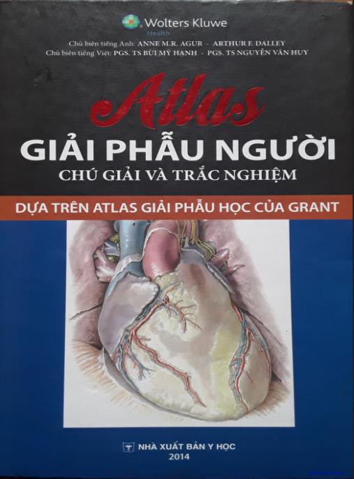 Atlas Giải Phẫu Người – Chú Giải Và Trắc Nghiệm