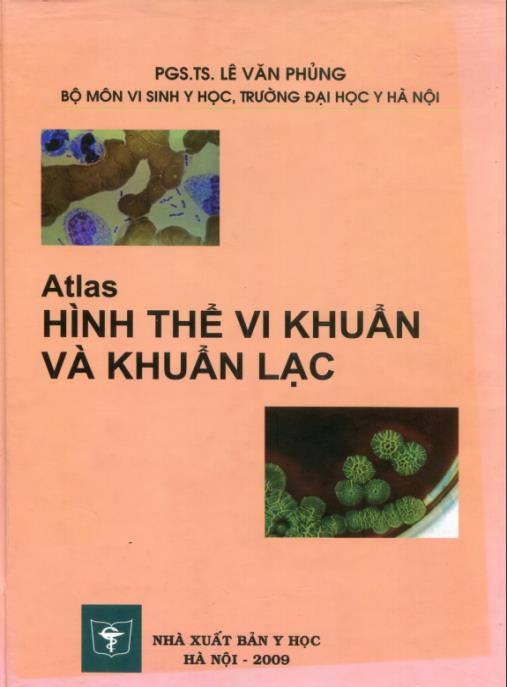 Atlas Hình Thể Vi Khuẩn Và Khuẩn Lạc