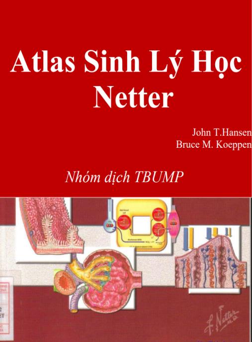 Atlas Sinh Lý Học Netter