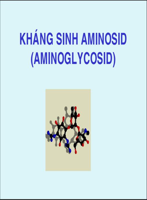 Bài giảng Hóa dược Kháng sinh Aminosid