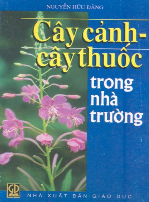 Cây Cảnh – Cây Thuốc Trong Nhà Trường