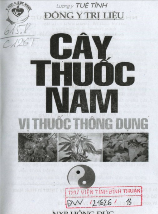 Cây Thuốc Nam Vị Thuốc Thông Dụng