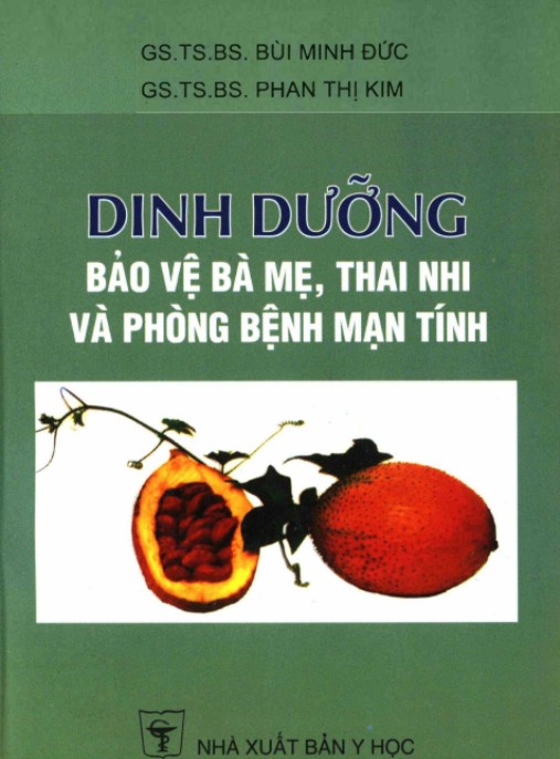 Dinh Dưỡng Vảo Vệ Bà Mẹ Thai Nhi Và Phòng Bệnh Mãn Tính