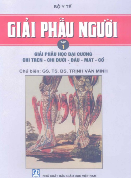 Giải Phẫu Người Tập 1
