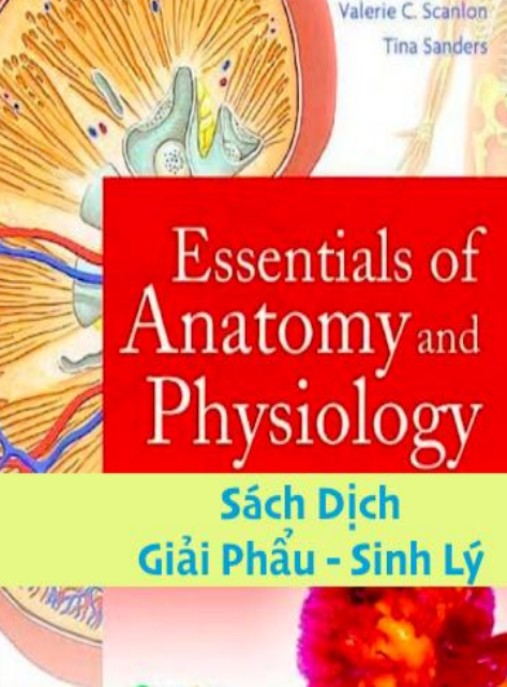 Ebook Giải Phẫu Sinh Lý
