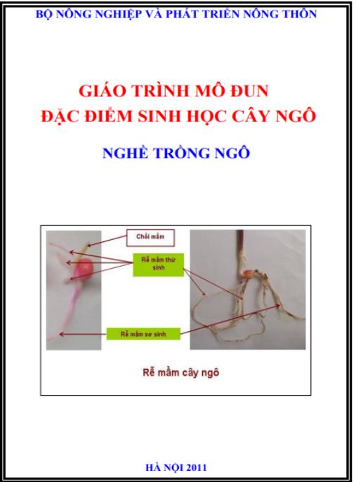 Giáo trình mô đun Đặc điểm sinh học cây ngô (Nghề Trồng ngô)