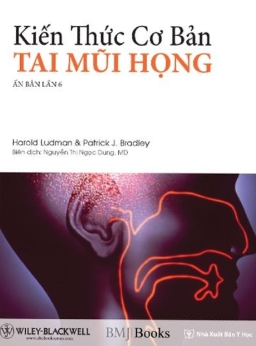 Kiền Thức Cơ Bản Tai Mũi Họng