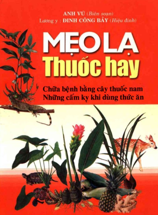 Mẹo Lạ Thuốc Hay