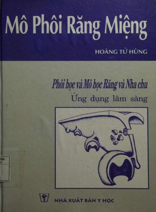Mô Phôi Răng Miệng – Phôi Học Và Mô Học Răng Và Nha Chu Ứng Dụng Lâm Sàng