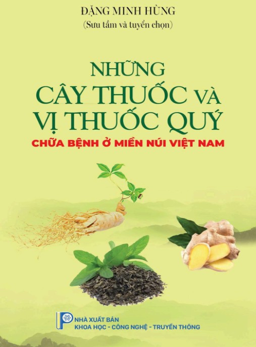 Những Cây Thuốc Và Vị Thuốc Quý Chữa Bệnh Ở Miền Núi Việt Nam