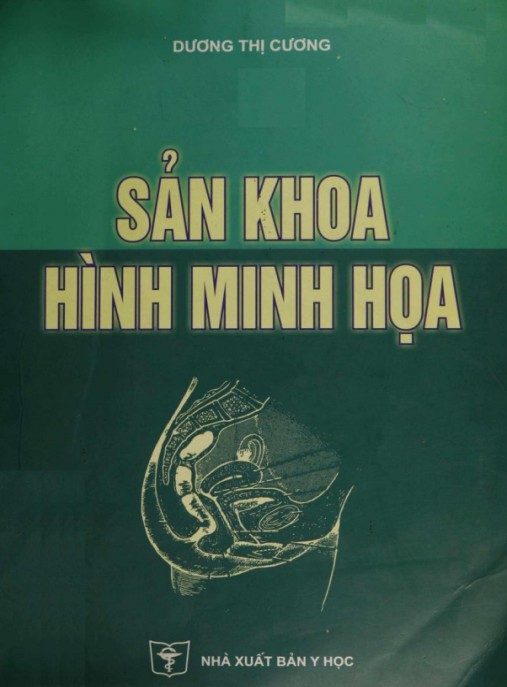 Sản Khoa Hình Minh Họa